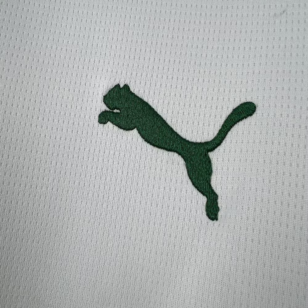 Palmeiras 2026 Away Jersey