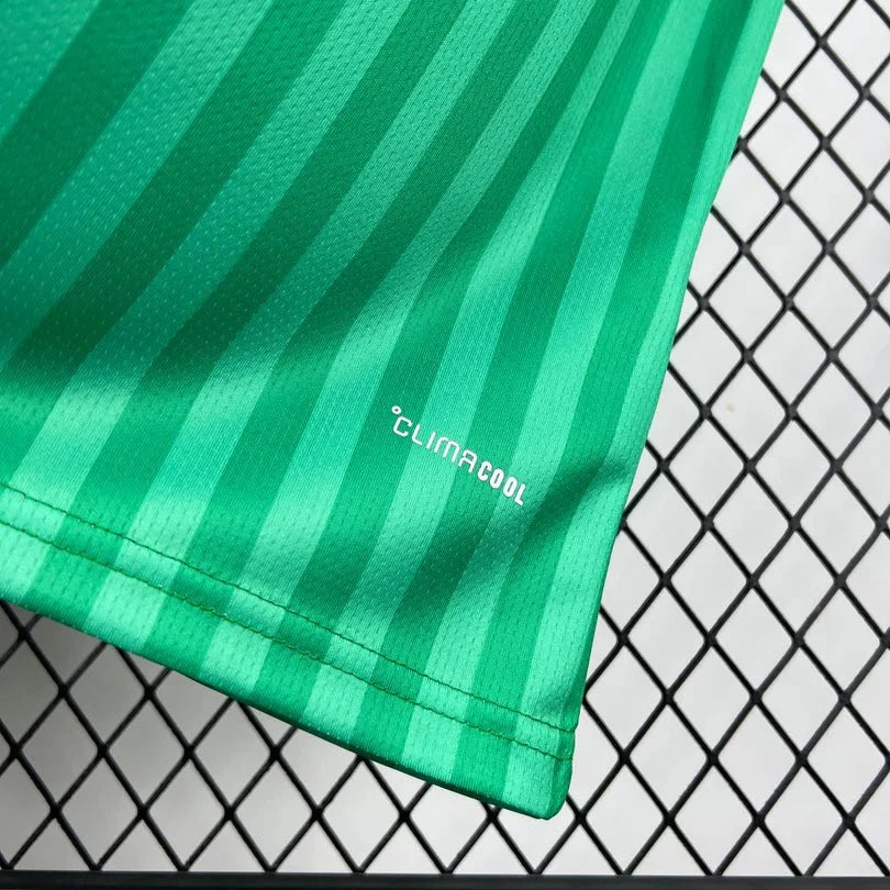 Algeria World Cup 2026 Away Jersey