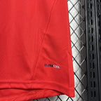 Spain 2010 Home Jersey
