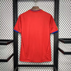 Spain 2010 Home Jersey