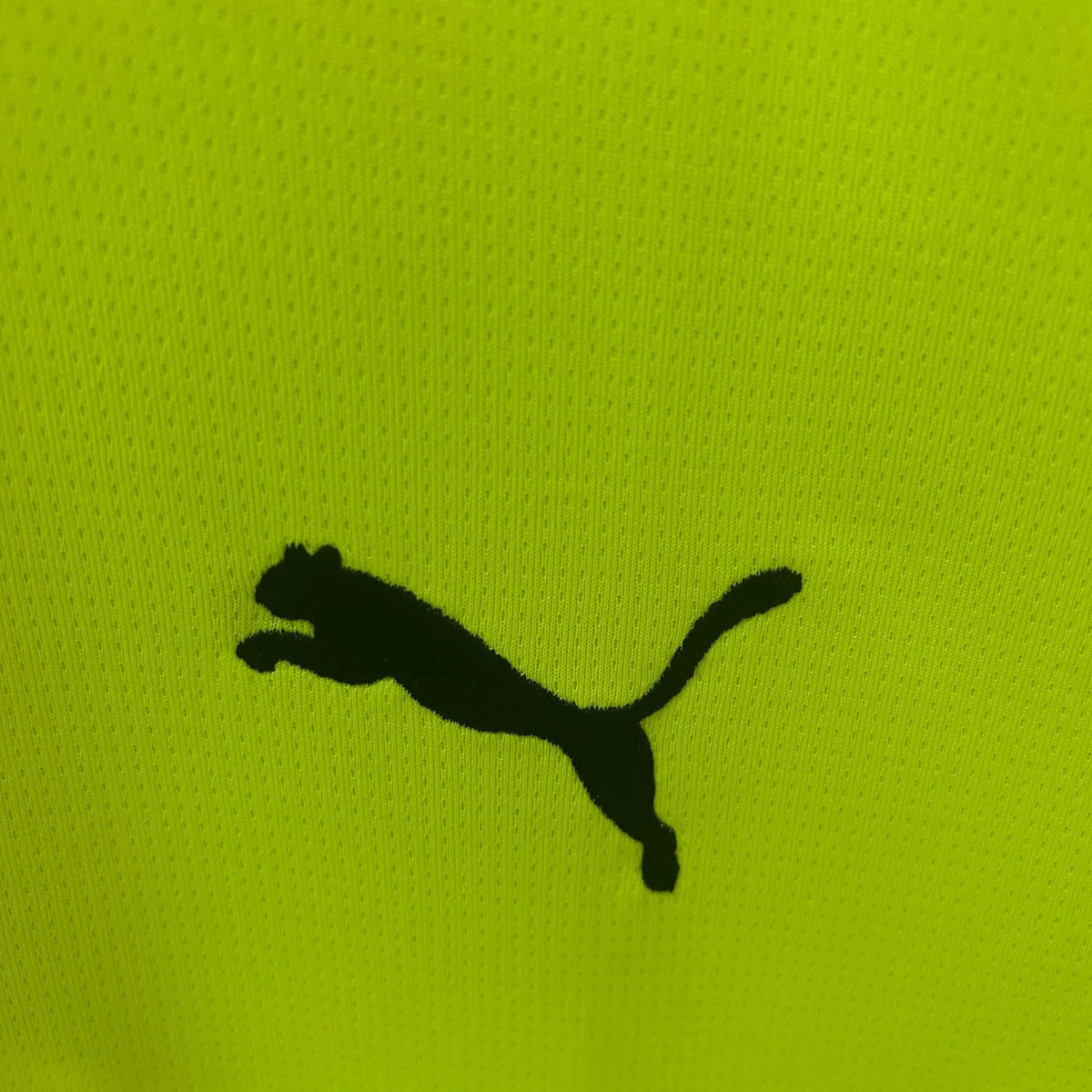 Dortmund 2024 Special Edition Jersey