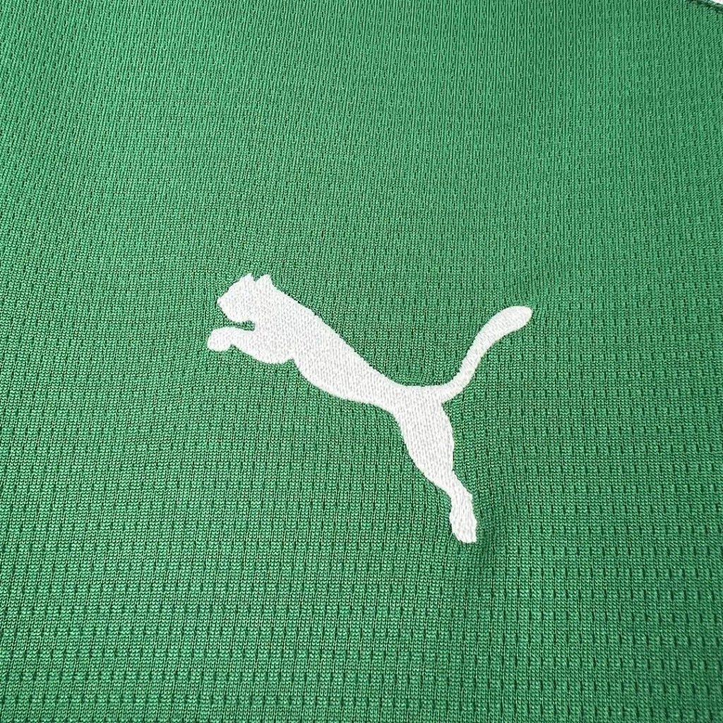 Palmeiras 2026 Home Jersey