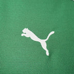 Palmeiras 2026 Home Jersey